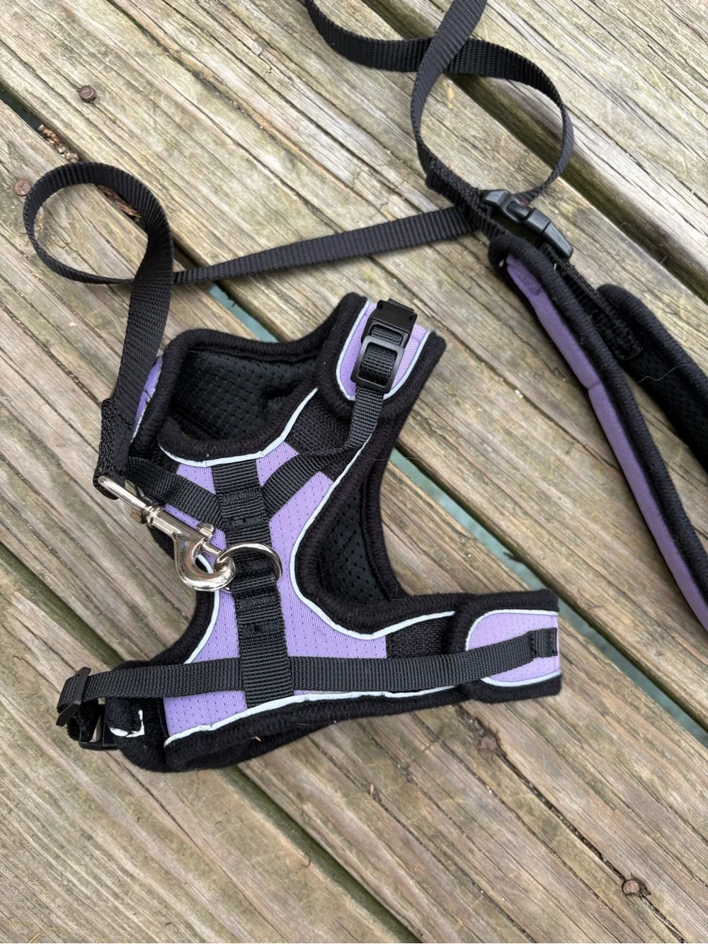 Angel Lavender Padded Harness and Leash Set for Small Pets